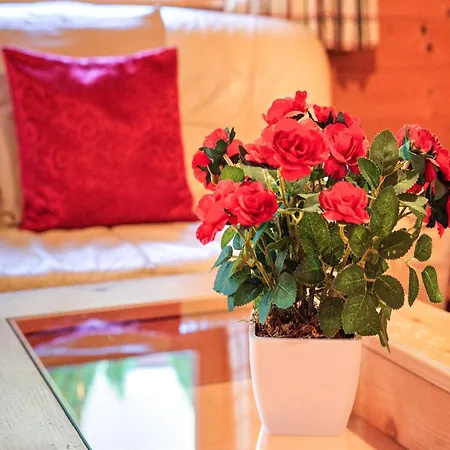 度假居 Village Wildschoenau With Terrace *