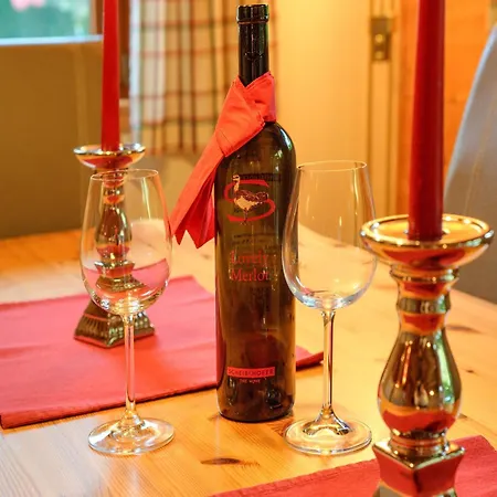 Village Wildschoenau With Terrace נידראו